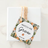 柑橘類の私は多肉栽培の恩恵を栽培ありがとう フェイバータグ (インサイチュ)