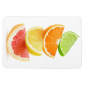 柑橘類の薄板ピラミッド マグネット (横)