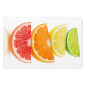 柑橘類の薄板ピラミッド マグネット (横)