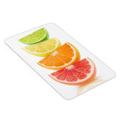 柑橘類の薄板ピラミッド マグネット (右側)