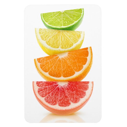 柑橘類の薄板ピラミッド マグネット (縦)