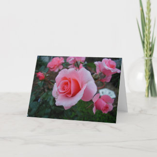 柑橘類は悩みます カード