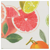 柑橘類カラフル類 ファブリック (クローズアップ)