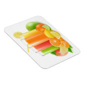 柑橘類ジュース マグネット (右側)