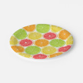 柑橘類スライス ペーパープレート (アングル)