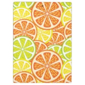 柑橘類パターン2 クリップボード (裏面)