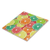 柑橘類フルーツスライスポップ・アートの第2条 タイル (側面)