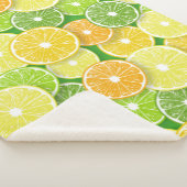 柑橘類フルーツスライスポップ・アートの第3条 シェルパブランケット (3/4)