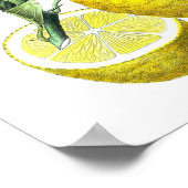 柑橘類フルーツレモンプリントNo. 10ウォールアート ポスター (角)