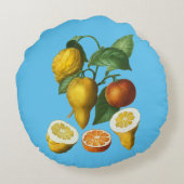 柑橘類フルーツ装飾用クッション ラウンドクッション (裏面)