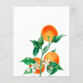 柑橘類リトルかわいこちゃんベビーシャワーアドバイスゲームカード (裏面)