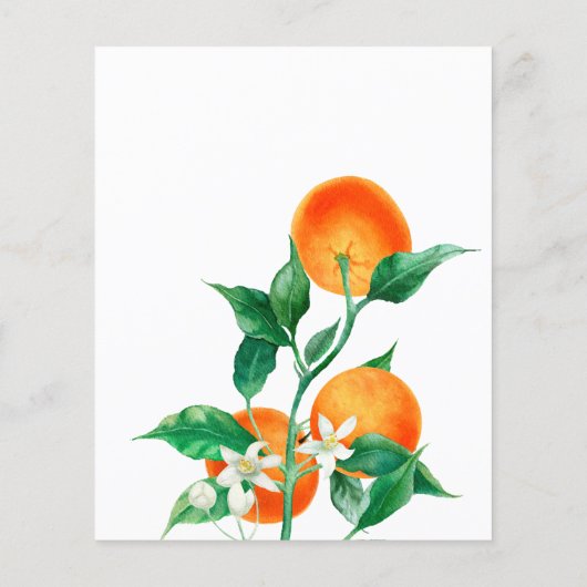 柑橘類リトルかわいこちゃんベビーシャワーアドバイスゲームカード (裏面)