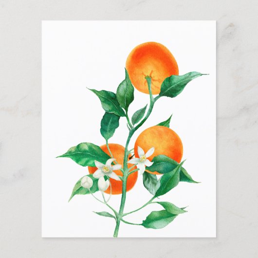 柑橘類リトルかわいこちゃんベビーシャワービンゴゲームカード (裏面)