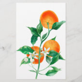 柑橘類リトルかわいこちゃん赤ちゃんシャワー願いゲームカード チラシ (裏面)