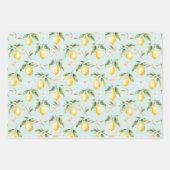 柑橘類レモンフルーツフローラ植物模様 ラッピングペーパーシート (正面)