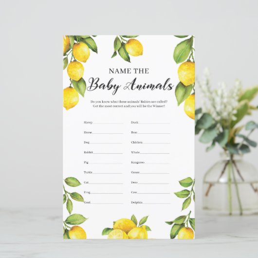 柑橘類レモン名ベビーアニマルゲーム (スタンド正面)