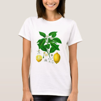 柑橘類レモン植物のプリントいいえ7芸術 Tシャツ
