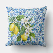 柑橘類地中海の・青瓦 クッション (正面)