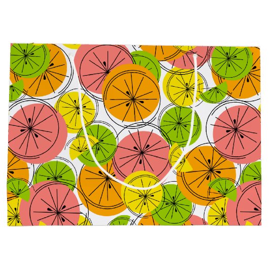 柑橘類抱き枕大 ラージペーパーバッグ (裏面)