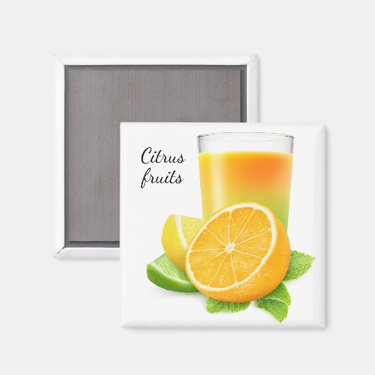 柑橘類果汁 マグネット (正面/裏面)
