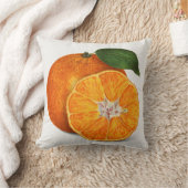 柑橘類 クッション (ブランケット)