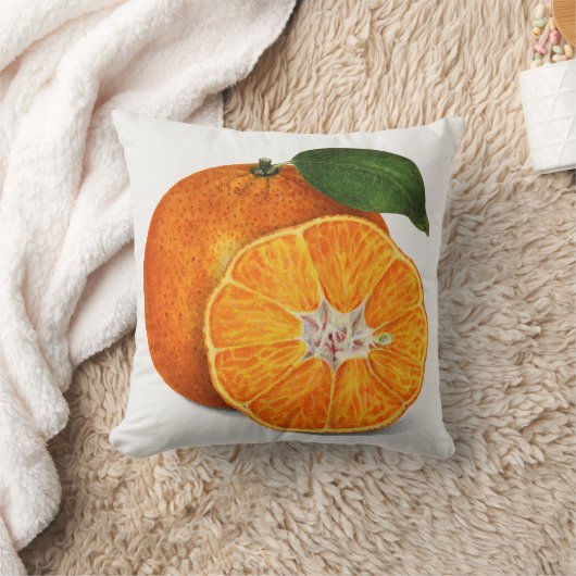 柑橘類 クッション (ブランケット)