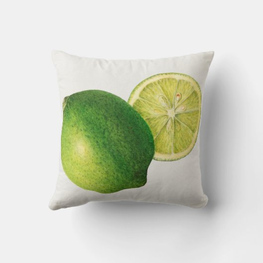 柑橘類 クッション (裏面)