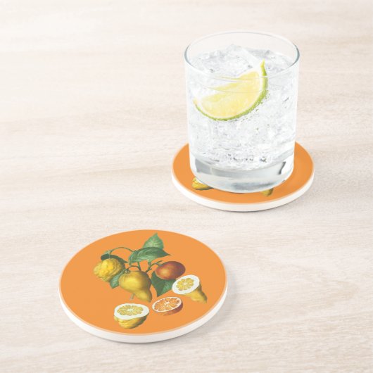 柑橘類 コースター (側面)
