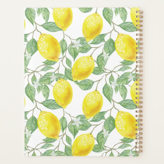 柑橘類 プランナー手帳 (裏面)