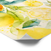 柑橘類 ポスター (角)