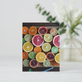 柑橘類 ポストカード (スタンド正面)