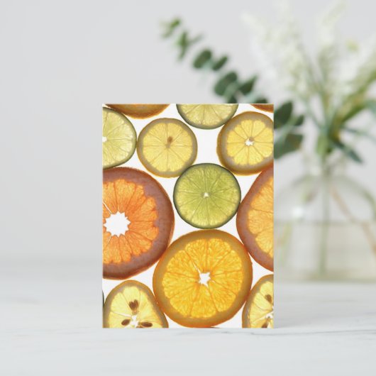 柑橘類 ポストカード (スタンド正面)