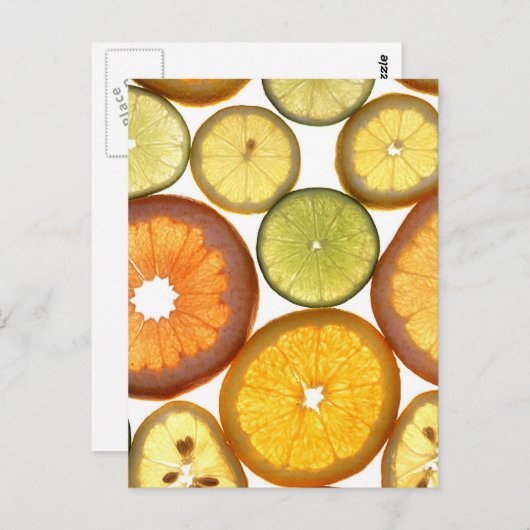 柑橘類 ポストカード (正面/裏面)
