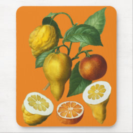 柑橘類 マウスパッド