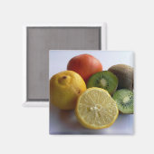 柑橘類 マグネット (正面/裏面)