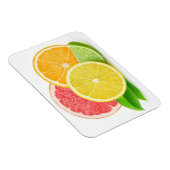 柑橘類 マグネット (右側)