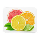 柑橘類 マグネット (横)