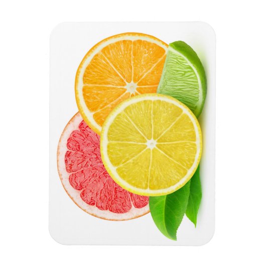 柑橘類 マグネット (縦)