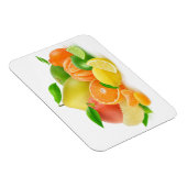 柑橘類 マグネット (右側)