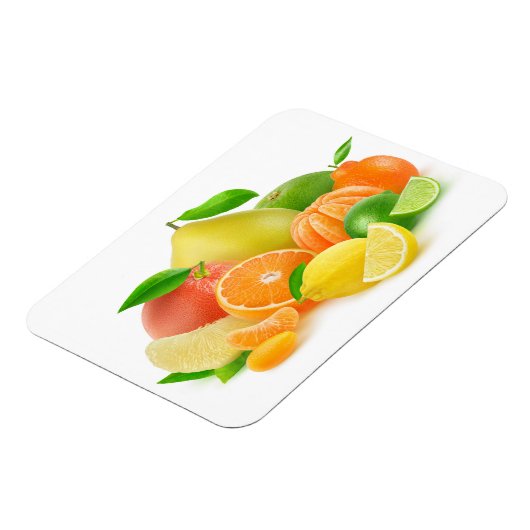 柑橘類 マグネット (左側)