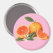 柑橘類 マグネット (正面/裏面)