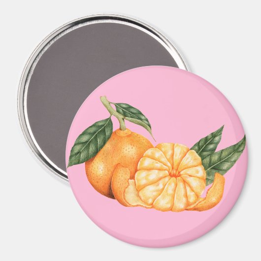 柑橘類 マグネット (正面/裏面)