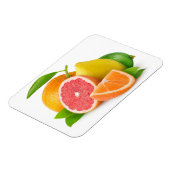 柑橘類 マグネット (左側)