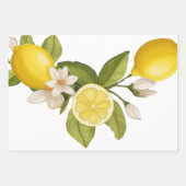 柑橘類 ラッピングペーパーシート (正面2)