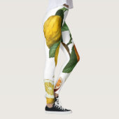 柑橘類 レギンス (右)