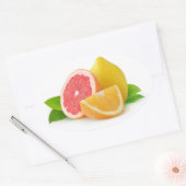 柑橘類 楕円形シール (封筒)