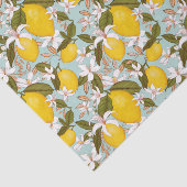 柑橘類 薄葉紙 (詳細)