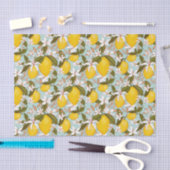 柑橘類 薄葉紙 (クラフト)