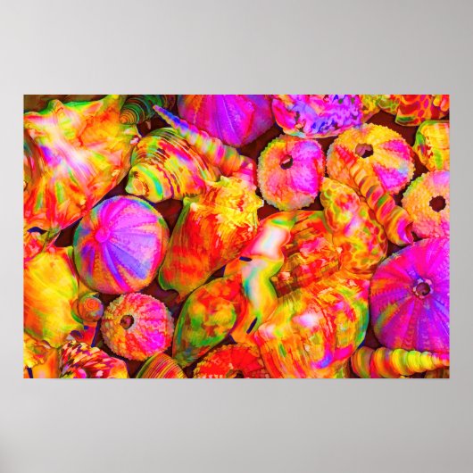 染めた貝殻を結ぶ ポスター (正面)