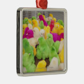 染料によって着色される市場のペンのベビーのひよこ メタルオーナメント (右)